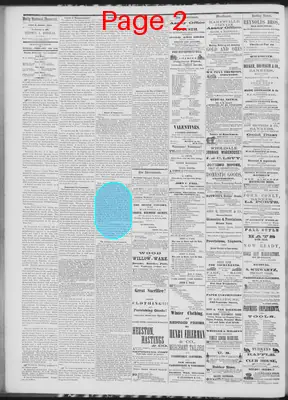 Page thumbnail for Daily National Democrat