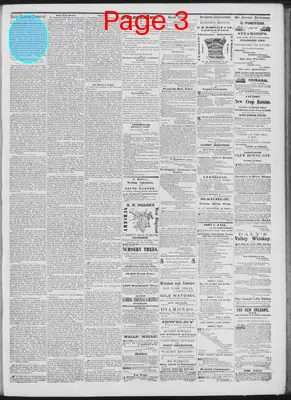 Page thumbnail for Daily National Democrat