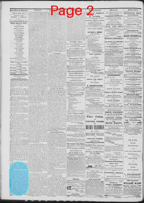 Page thumbnail for Daily National Democrat