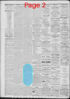 Page thumbnail for Daily National Democrat