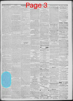 Page thumbnail for Daily National Democrat