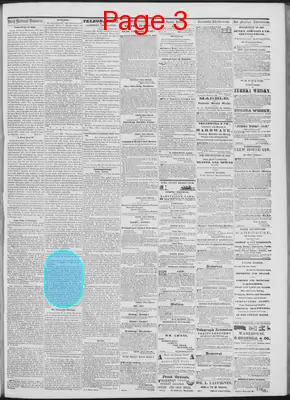 Page thumbnail for Daily National Democrat