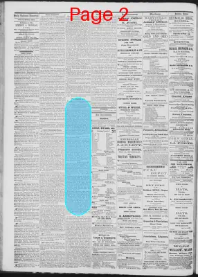 Page thumbnail for Daily National Democrat