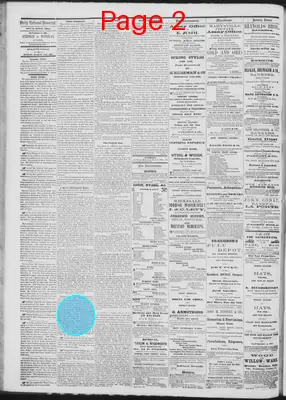 Page thumbnail for Daily National Democrat