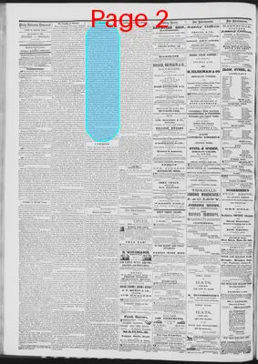 Page thumbnail for Daily National Democrat