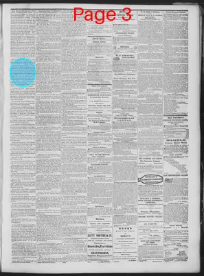 Page thumbnail for Daily National Democrat
