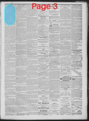 Page thumbnail for Daily National Democrat