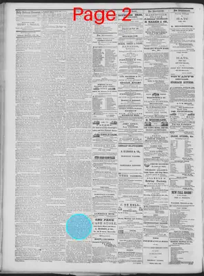 Page thumbnail for Daily National Democrat