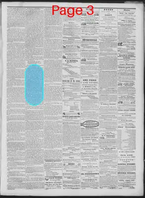 Page thumbnail for Daily National Democrat