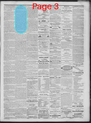 Page thumbnail for Daily National Democrat