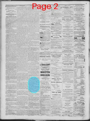 Page thumbnail for Daily National Democrat