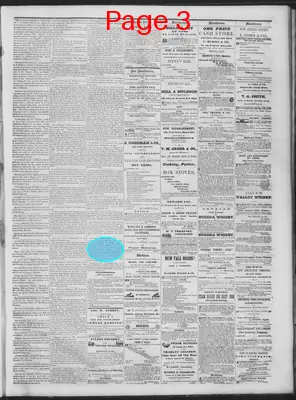 Page thumbnail for Daily National Democrat