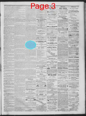 Page thumbnail for Daily National Democrat