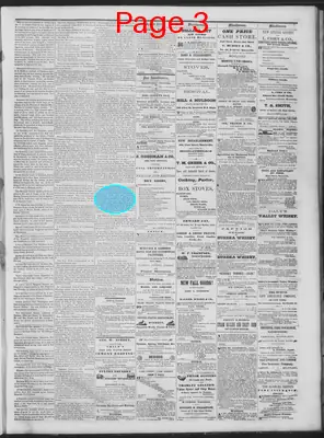Page thumbnail for Daily National Democrat