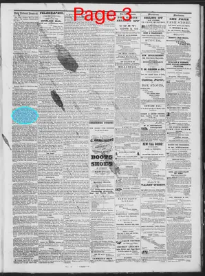 Page thumbnail for Daily National Democrat