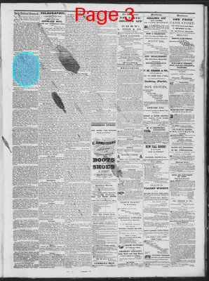 Page thumbnail for Daily National Democrat
