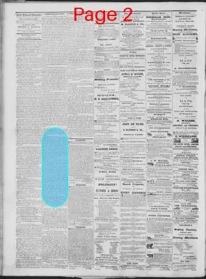 Page thumbnail for Daily National Democrat