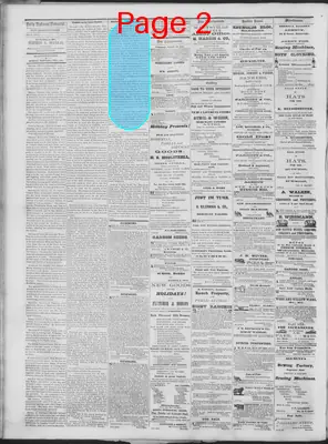Page thumbnail for Daily National Democrat