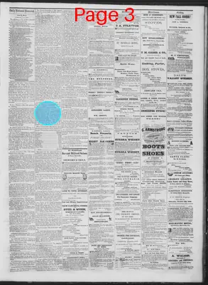 Page thumbnail for Daily National Democrat