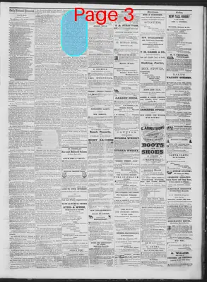 Page thumbnail for Daily National Democrat