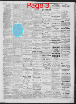 Page thumbnail for Daily National Democrat