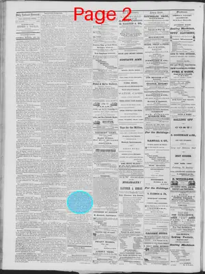 Page thumbnail for Daily National Democrat