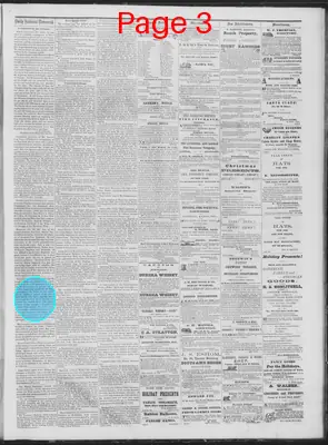Page thumbnail for Daily National Democrat