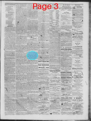 Page thumbnail for Daily National Democrat
