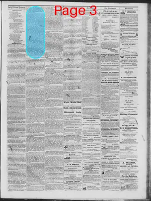 Page thumbnail for Daily National Democrat