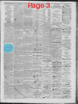 Page thumbnail for Daily National Democrat