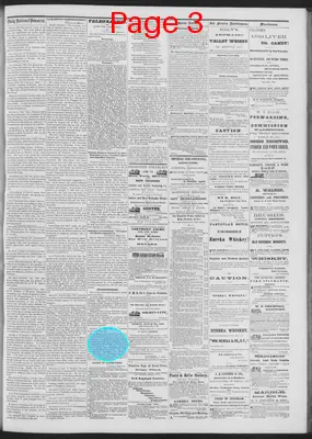 Page thumbnail for Daily National Democrat
