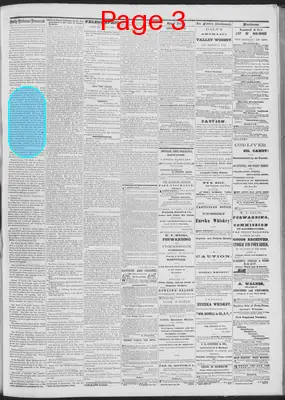 Page thumbnail for Daily National Democrat