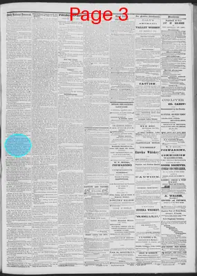 Page thumbnail for Daily National Democrat