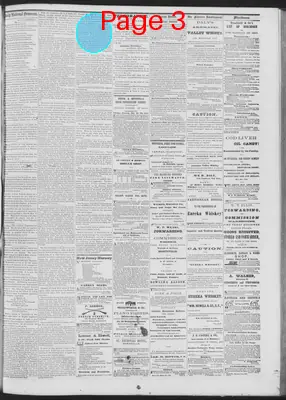 Page thumbnail for Daily National Democrat