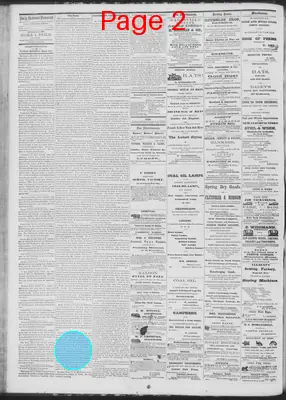 Page thumbnail for Daily National Democrat
