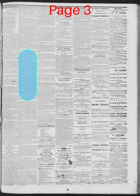 Page thumbnail for Daily National Democrat