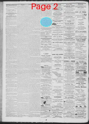 Page thumbnail for Daily National Democrat