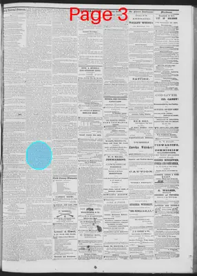 Page thumbnail for Daily National Democrat