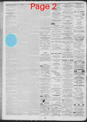 Page thumbnail for Daily National Democrat