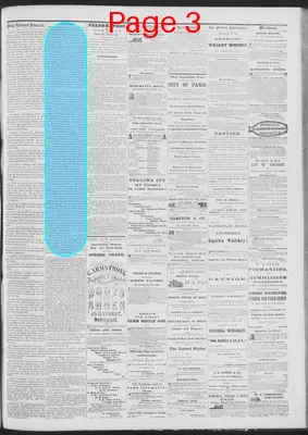Page thumbnail for Daily National Democrat