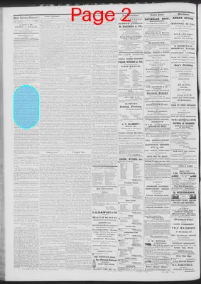 Page thumbnail for Daily National Democrat