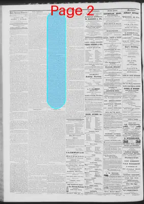 Page thumbnail for Daily National Democrat