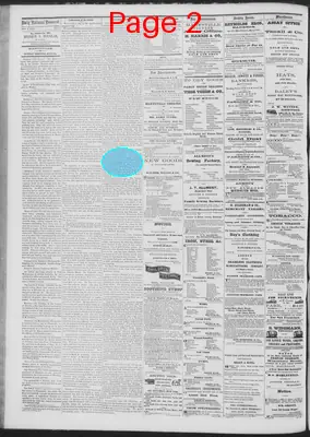 Page thumbnail for Daily National Democrat