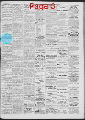 Page thumbnail for Daily National Democrat