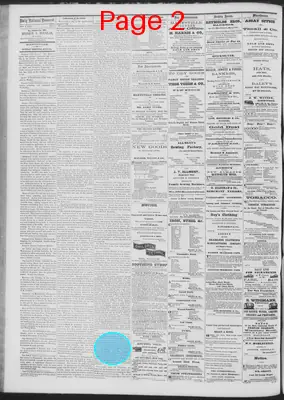 Page thumbnail for Daily National Democrat