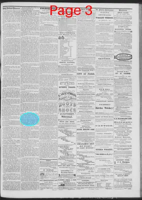 Page thumbnail for Daily National Democrat