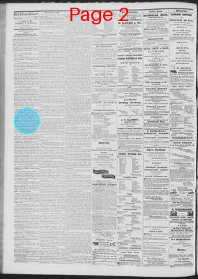 Page thumbnail for Daily National Democrat