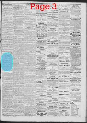 Page thumbnail for Daily National Democrat