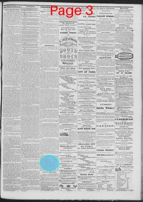 Page thumbnail for Daily National Democrat