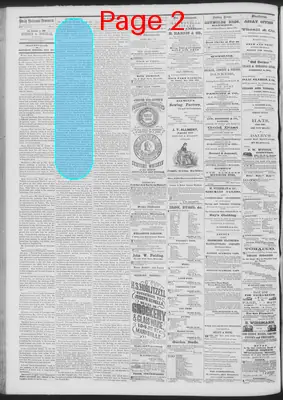 Page thumbnail for Daily National Democrat